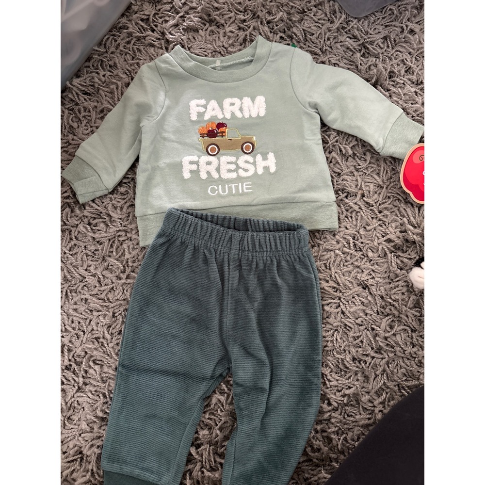 Chick Pea 0-3M Farm Fresh Cutie Green Sweatshirt and Ribbed Jogger Pant Set NEW